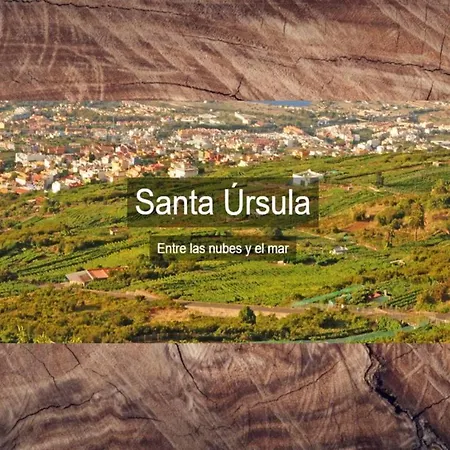 Canarian House Antigua Escuela Lejlighed Santa Úrsula